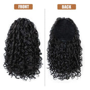 Curly Ponytail Wig Plus Polished Pros