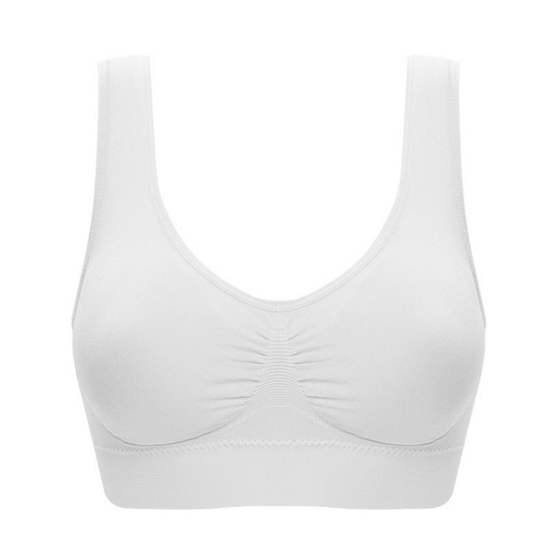 Seamless Plus Size Bra XL-6XL - No Underwire, Multi-Color Plus Polished Pros